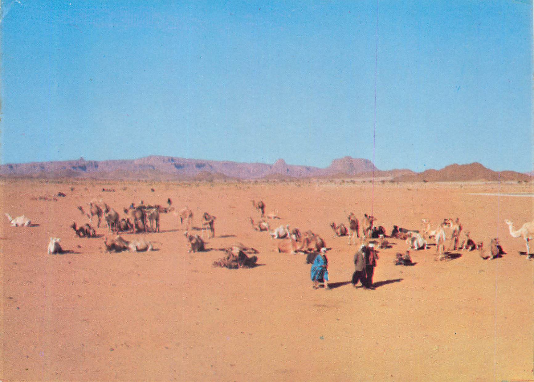CPM Le Hoggar Couleurs et Lumieres d'Algerie