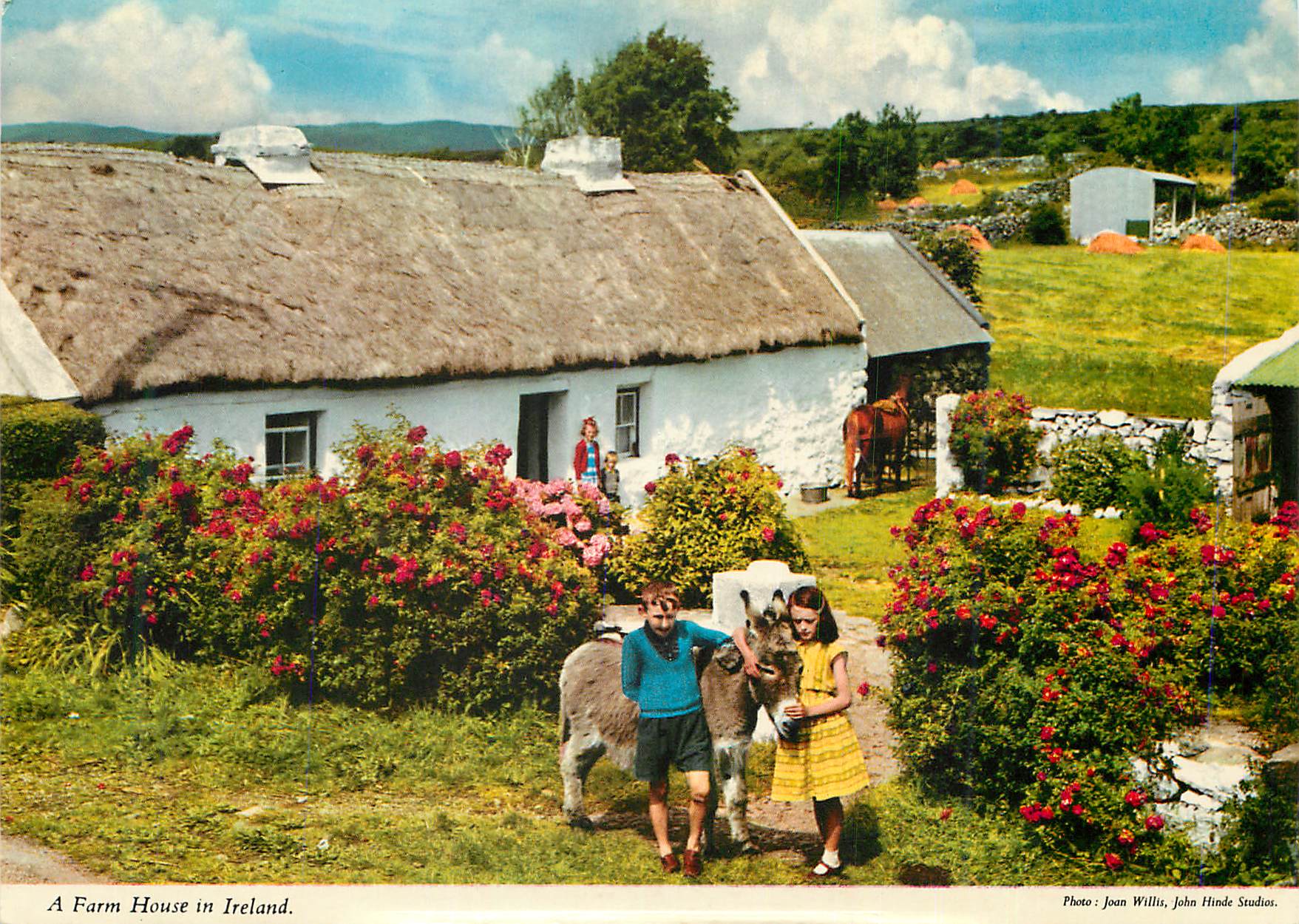 CPM Farm House in Ireland Ane Donkey