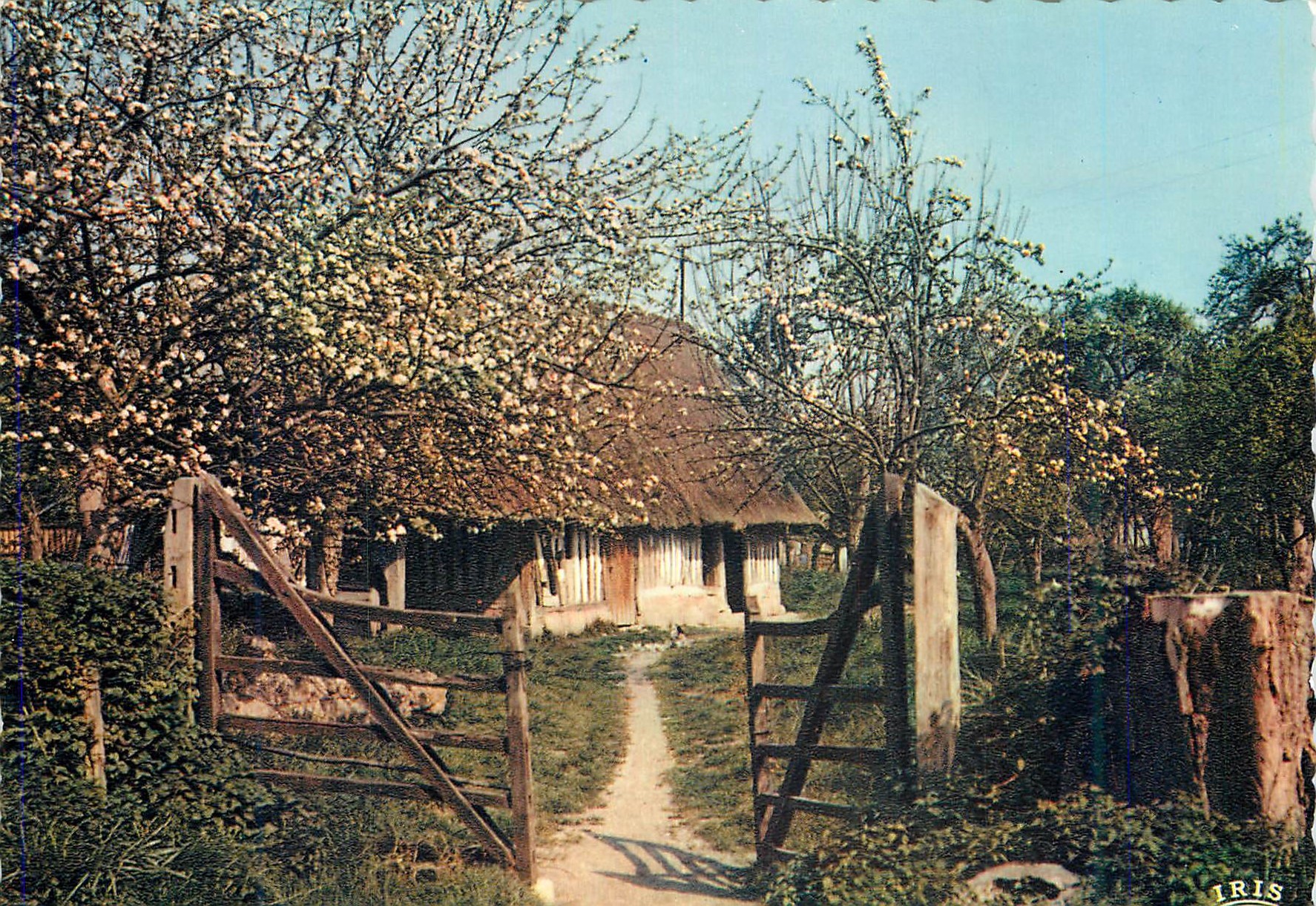 CPM Charme et Couleurs de la Normandie Ferme Normande