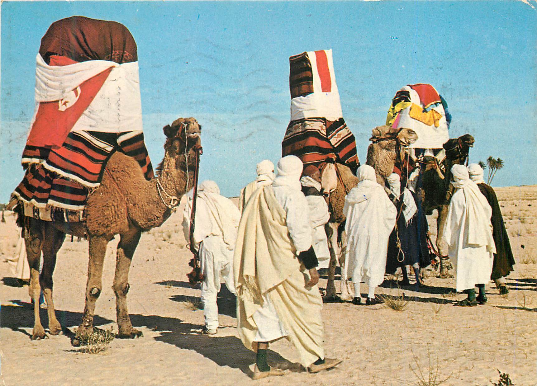 CPM Tunisie Mariage Traditionnel dans le Desert