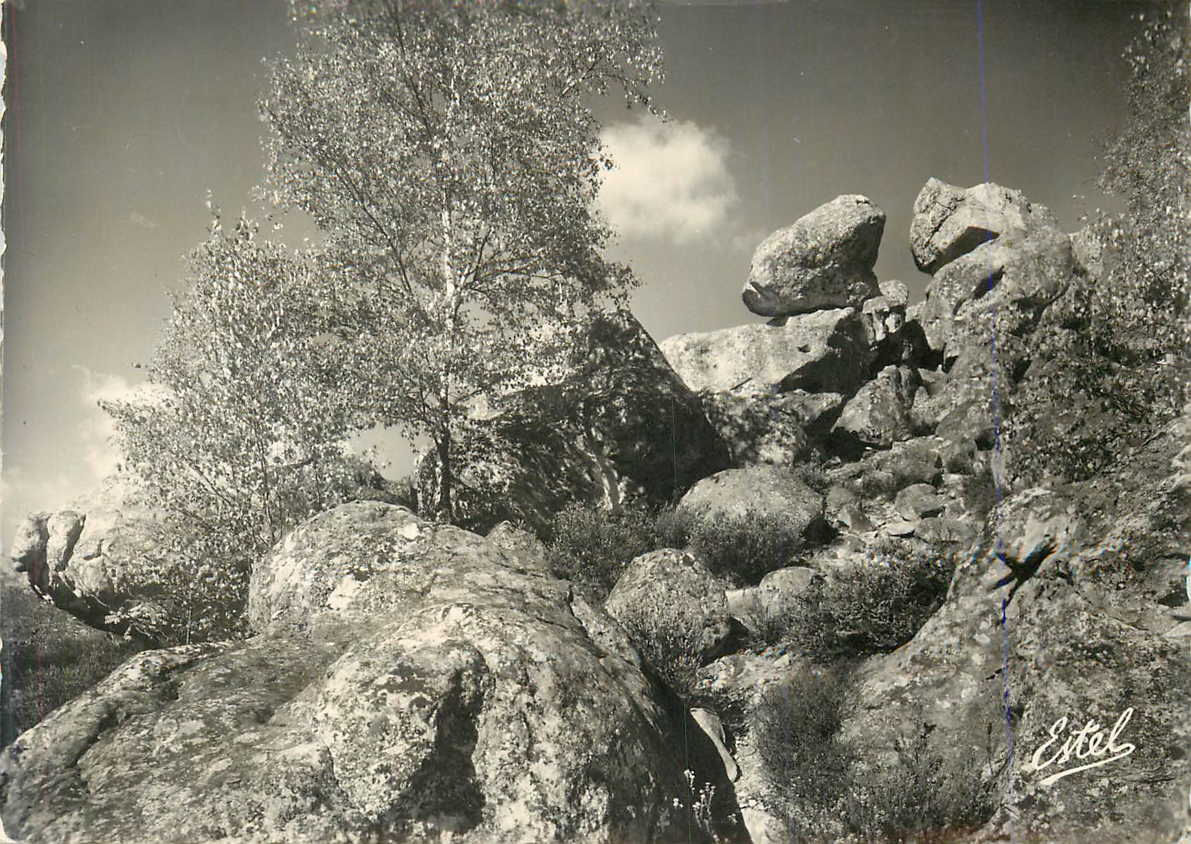 Rocheuse — paisaje rocoso con árbol — Estel