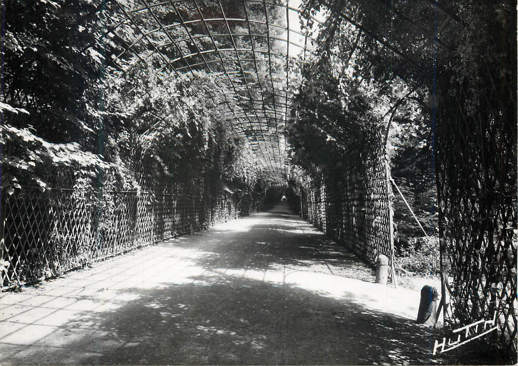 Allée couverte de végétation — HUTH