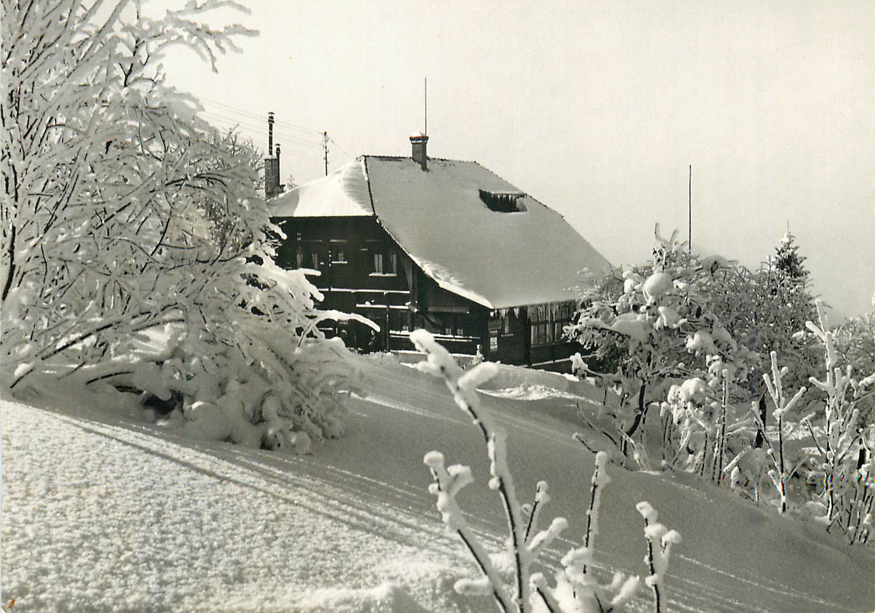 CPM Restaurant Pension des Pleiades sur Vevey Alt 1400 m