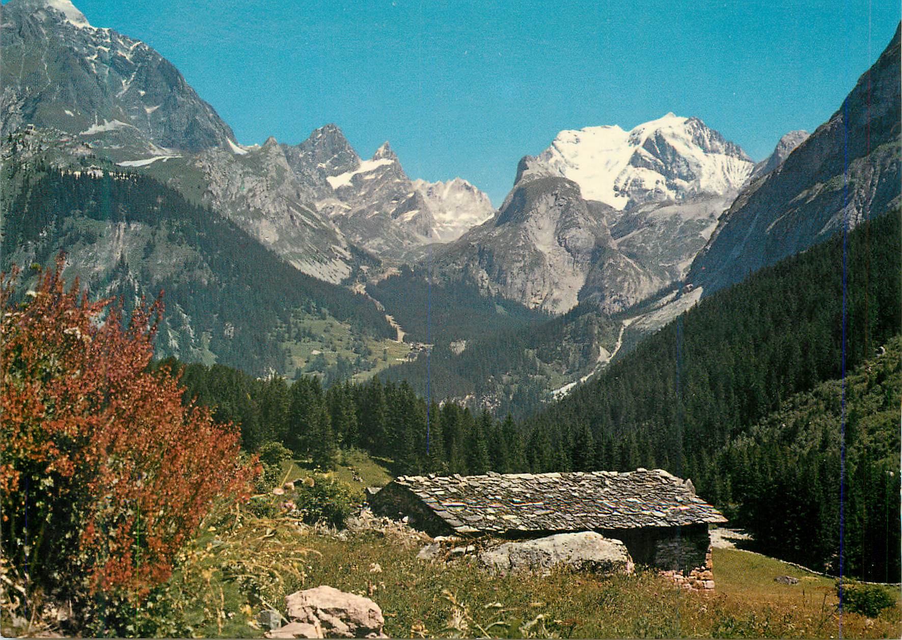 CPM Les Alpes en Couleurs Naturelles Vieux Chalet en haute Montagne