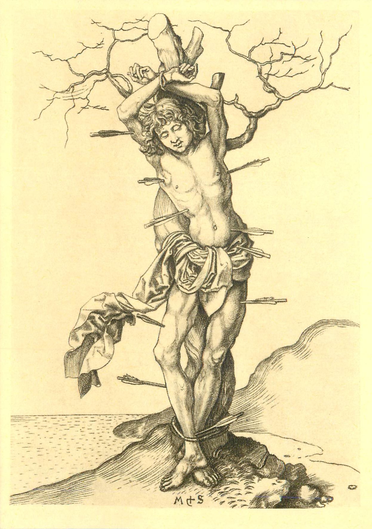 CPM Colmar vers 1450 Brisach 1491 Martin Schongauer peintre Graveur Saint Sebastien
