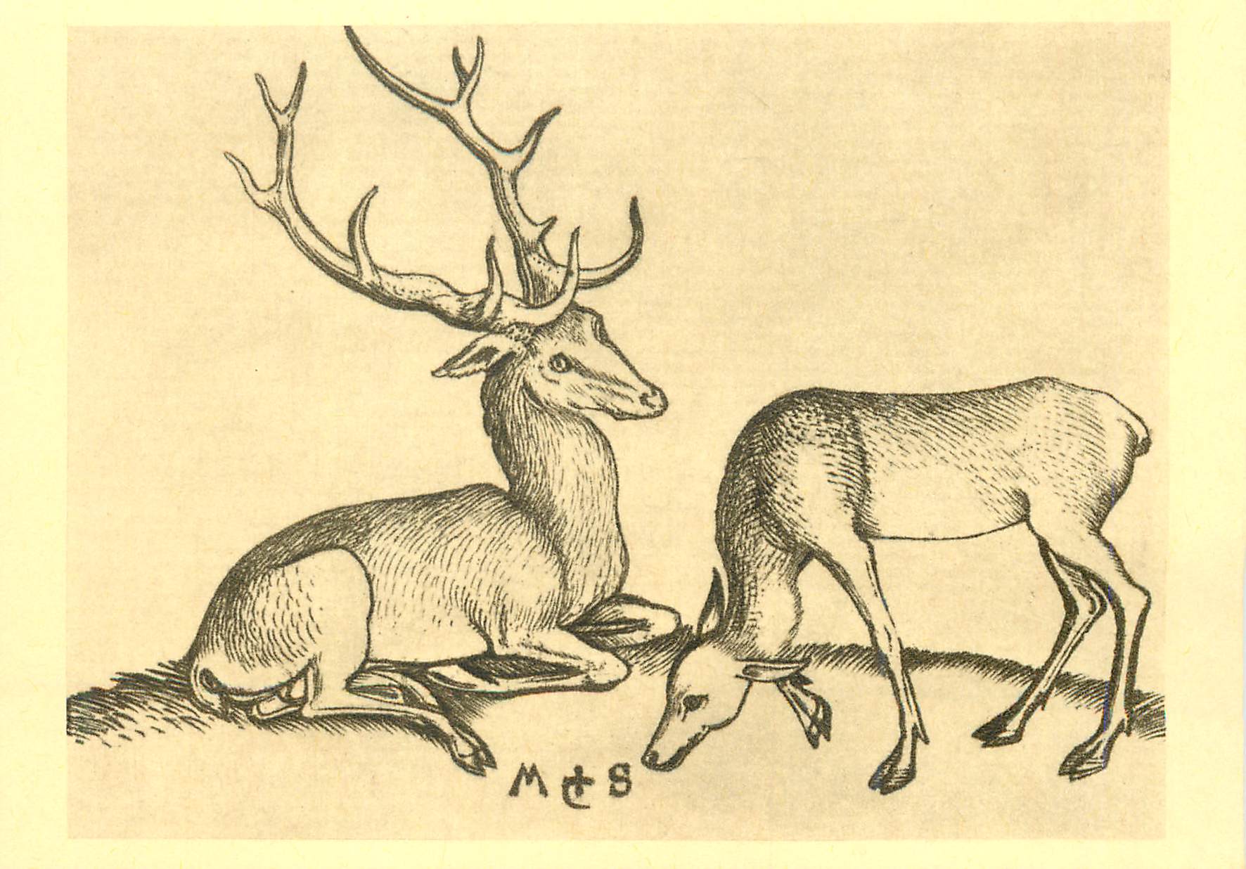 CPM Colmar vers 1450 Brisach 1491 Martin Schongauer peintre Graveur Le Cerf et la Biche