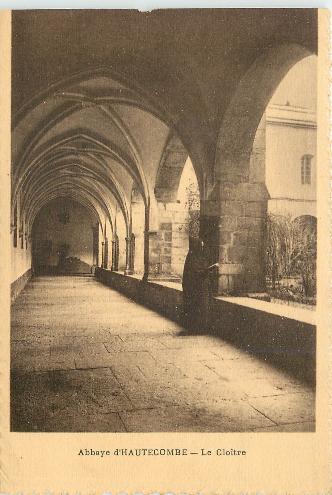 Abbaye d'HAUTECOMBE — Le Cloître