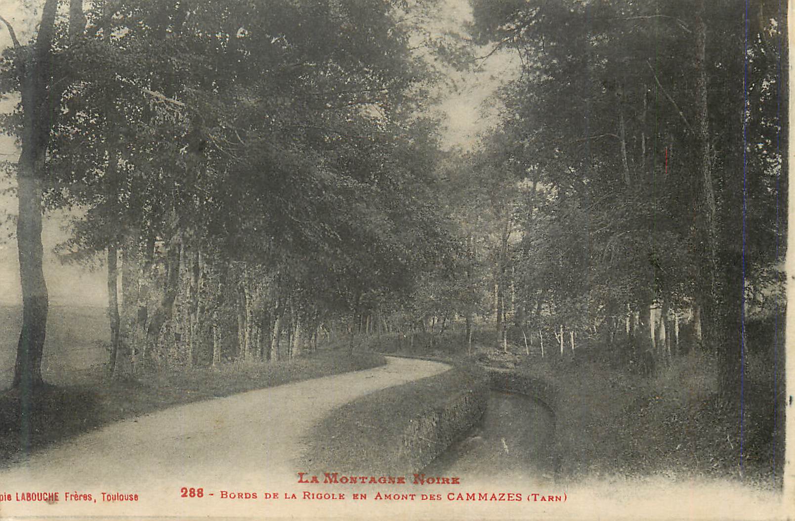 CPA Bords de la Rigole en Amont des Cammazes (Tarn) La Montagne Noire