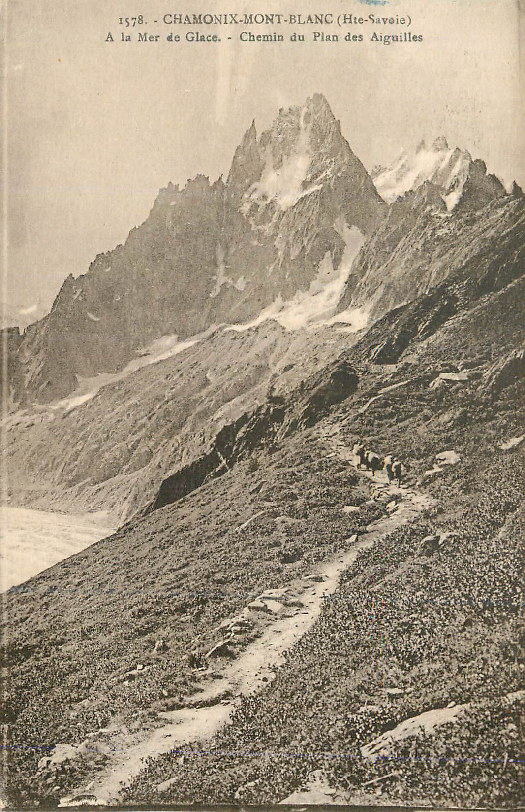 CPA Chamonix Mont Blanc (Hte Savoie) A la Mer de Glace Chemin du Plan des Aiguilles