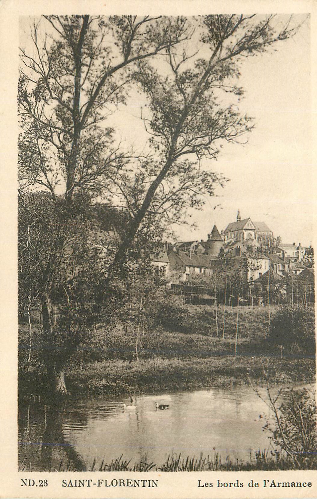 CPA Saint Florentin Les Bords de l'Armance