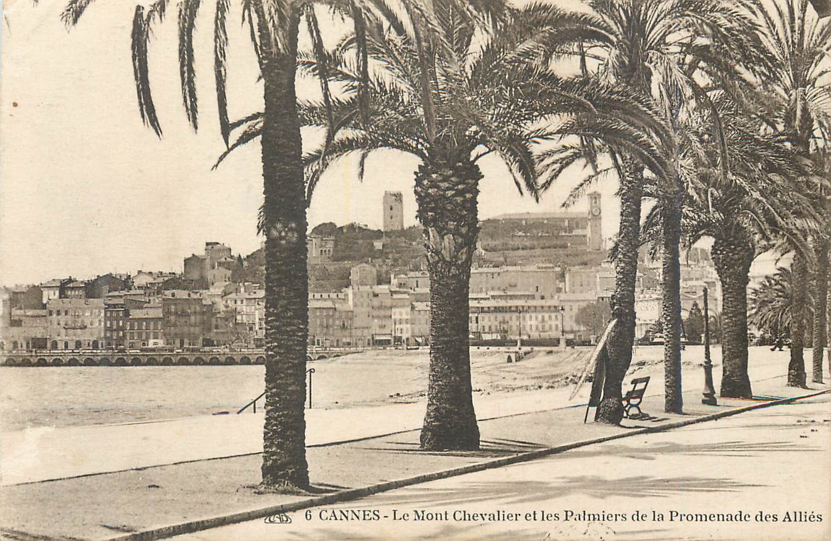CPA Cannes Le Mont Chevalier et les Palmiers de la Promenade des Allies
