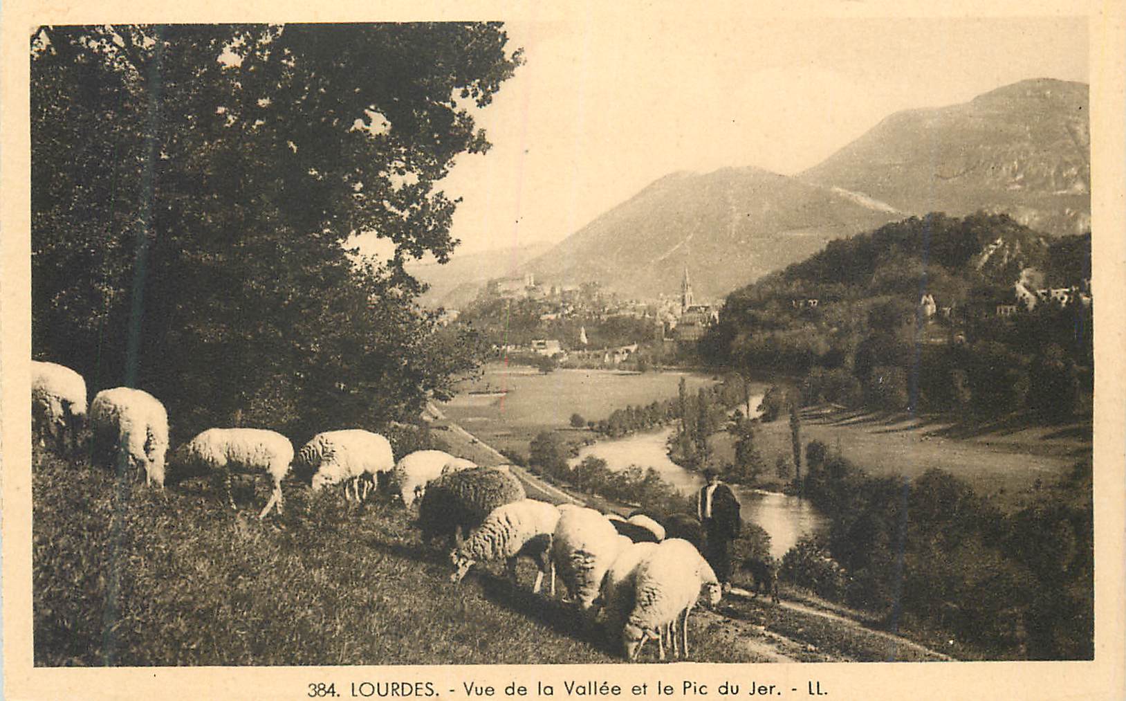 CPA Lourdes Vue de la Vallee et le Pic du Jer Moutons