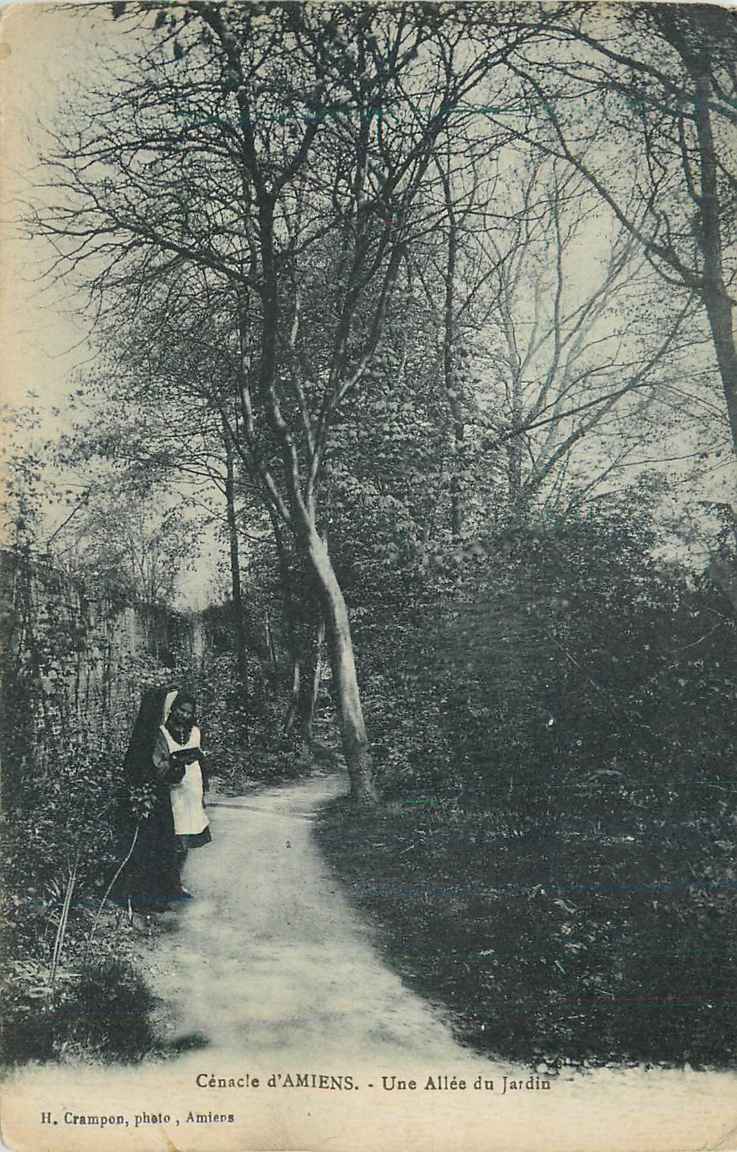 CPA Cenacle d'Amiens Une Allee du Jardin