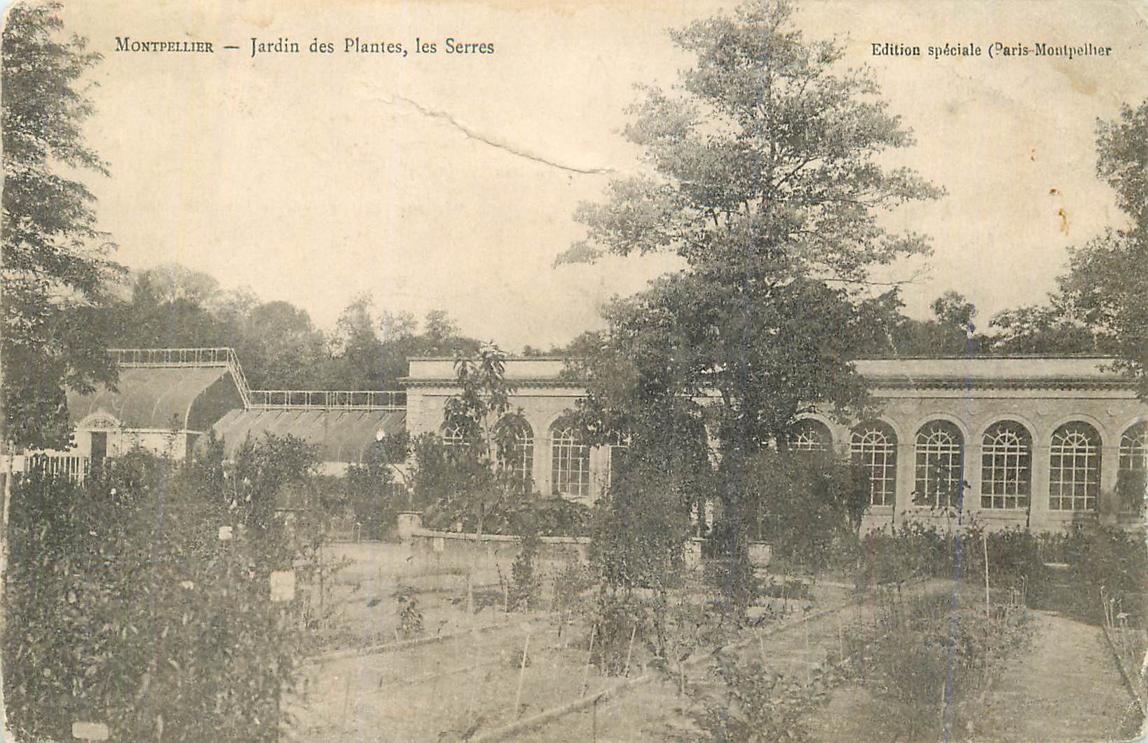 Montpellier — Jardin des Plantes, les Serres — Édition spéciale (Paris-Montpellier)