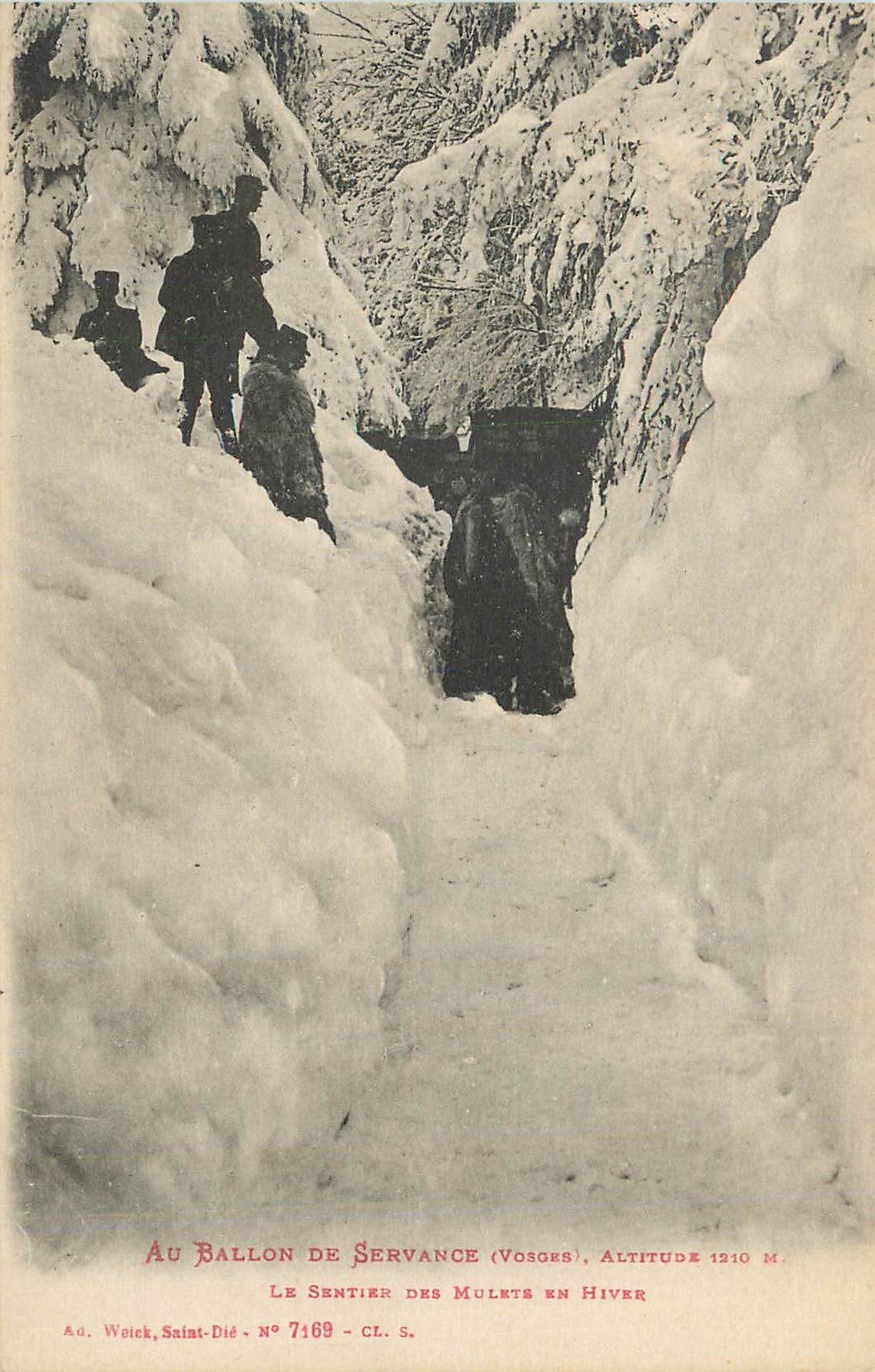 CPA Au Bollon de Servance (Vosges) Alt 1210 m Les Sentier des Mulets en Hivers Militaria