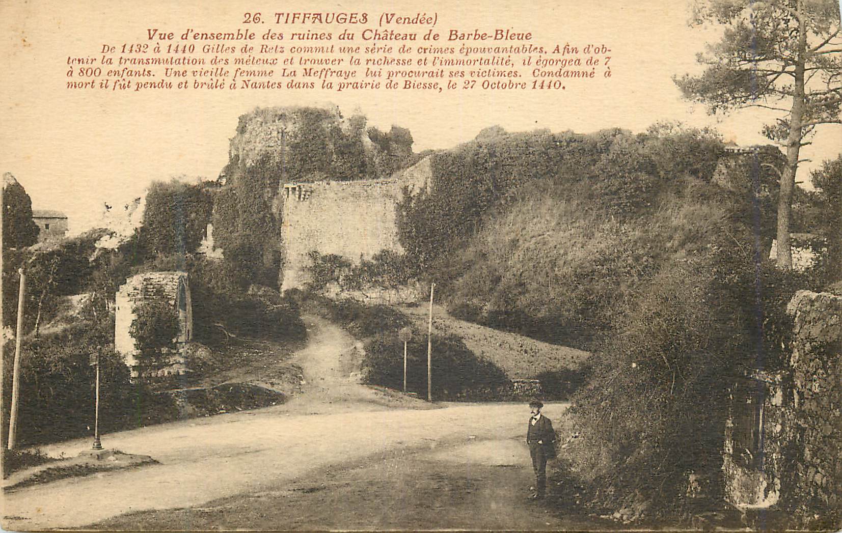 CPA Tiffauges (Vendee) Vue d'Ensemble des Ruines du Chateau de Barbe Bleue