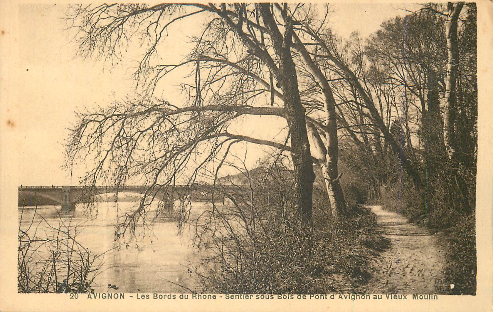 Avignon - Les Bords du Rhône - Sentier sous Bois de Pont d'Avignon au Vieux Moulin