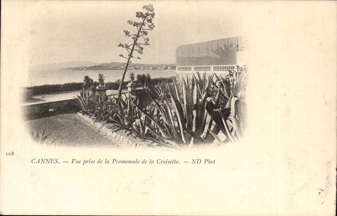 Cannes CPA Vue prise de la promenade de la croisette