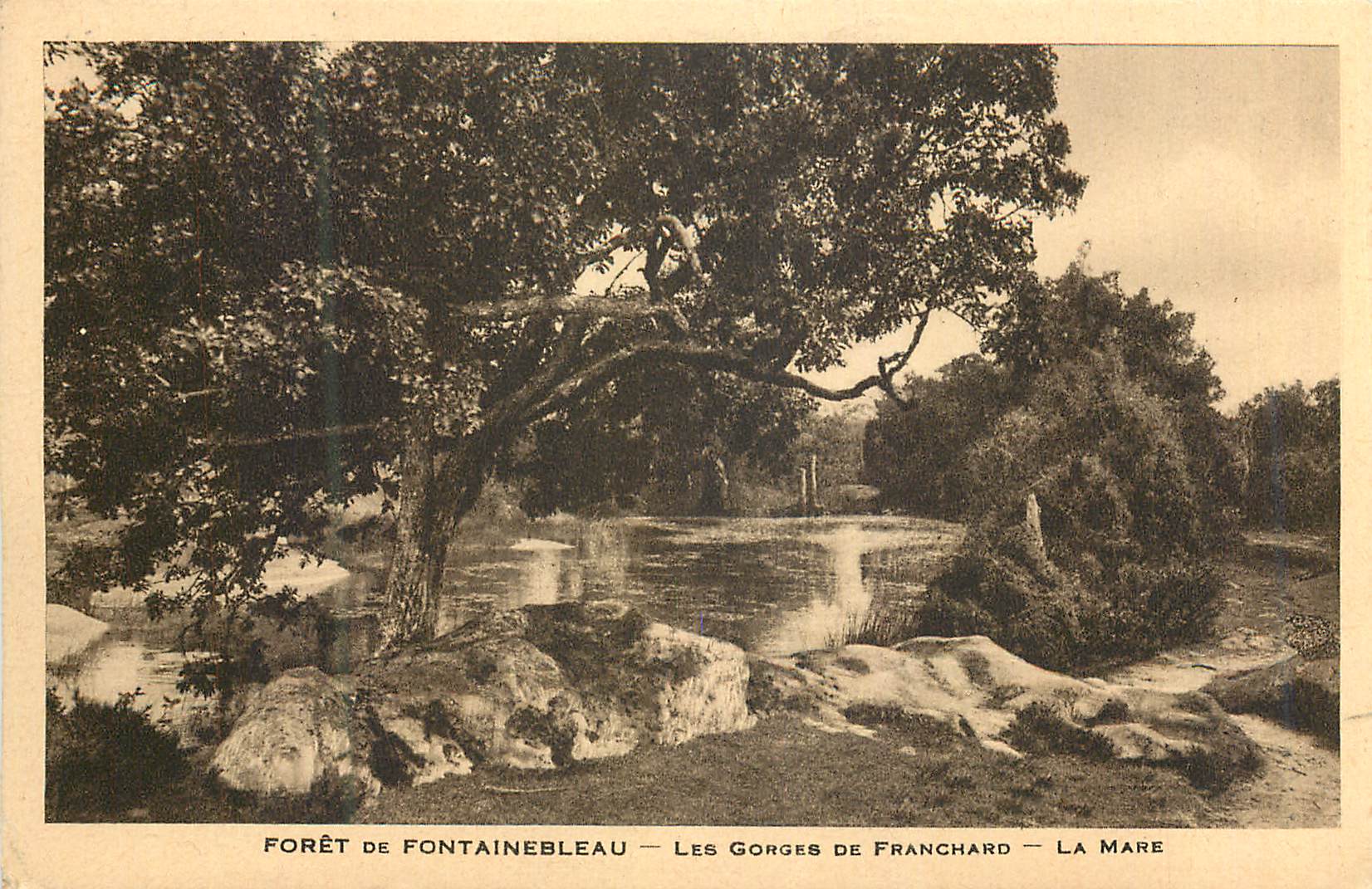 Foresta di Fontainebleau — Le Gorge di Franchard — La Mare