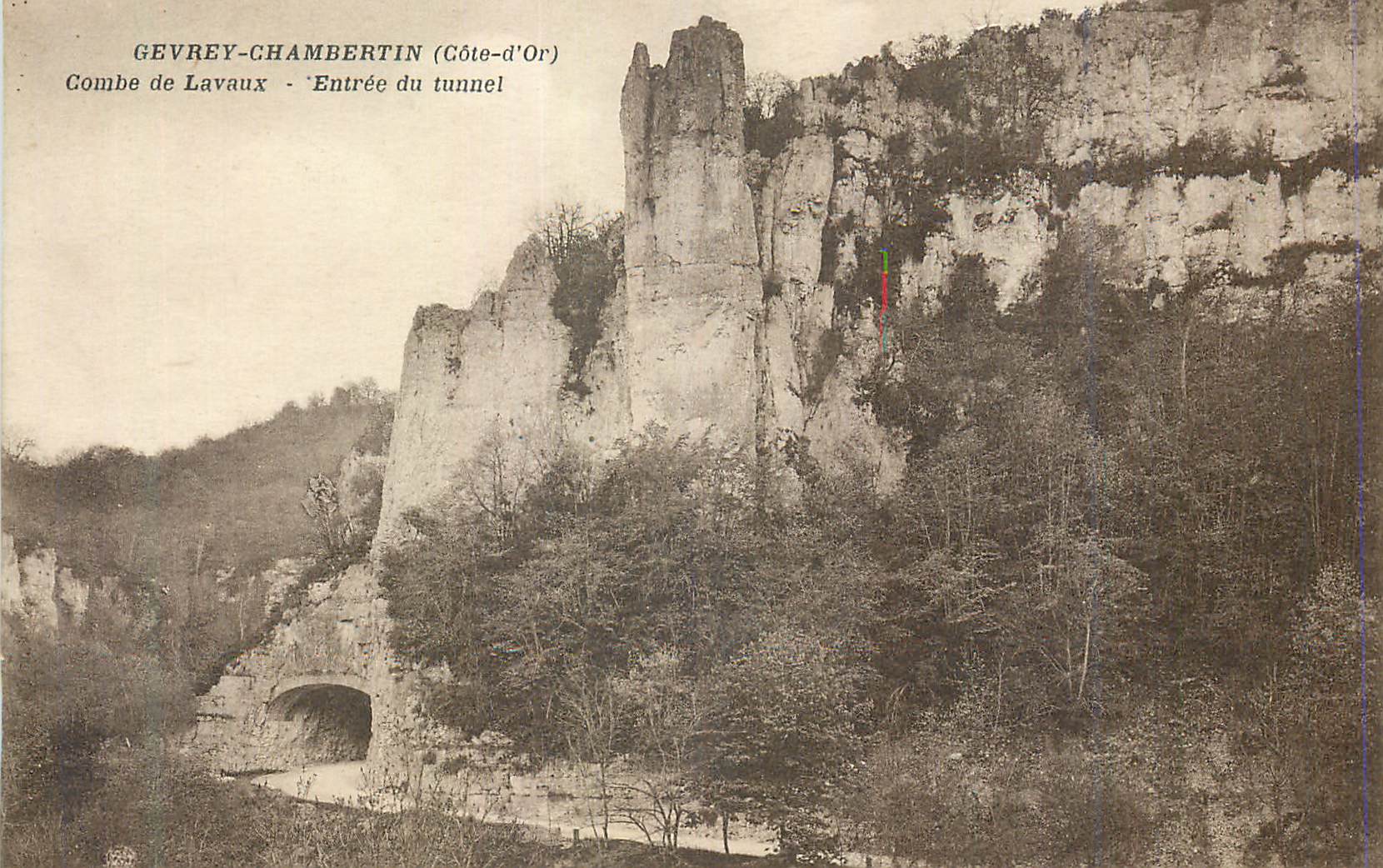 CPA Gevrey Chambertin (Cote d'Or) Combe de Lavaux Entree du Tunnel