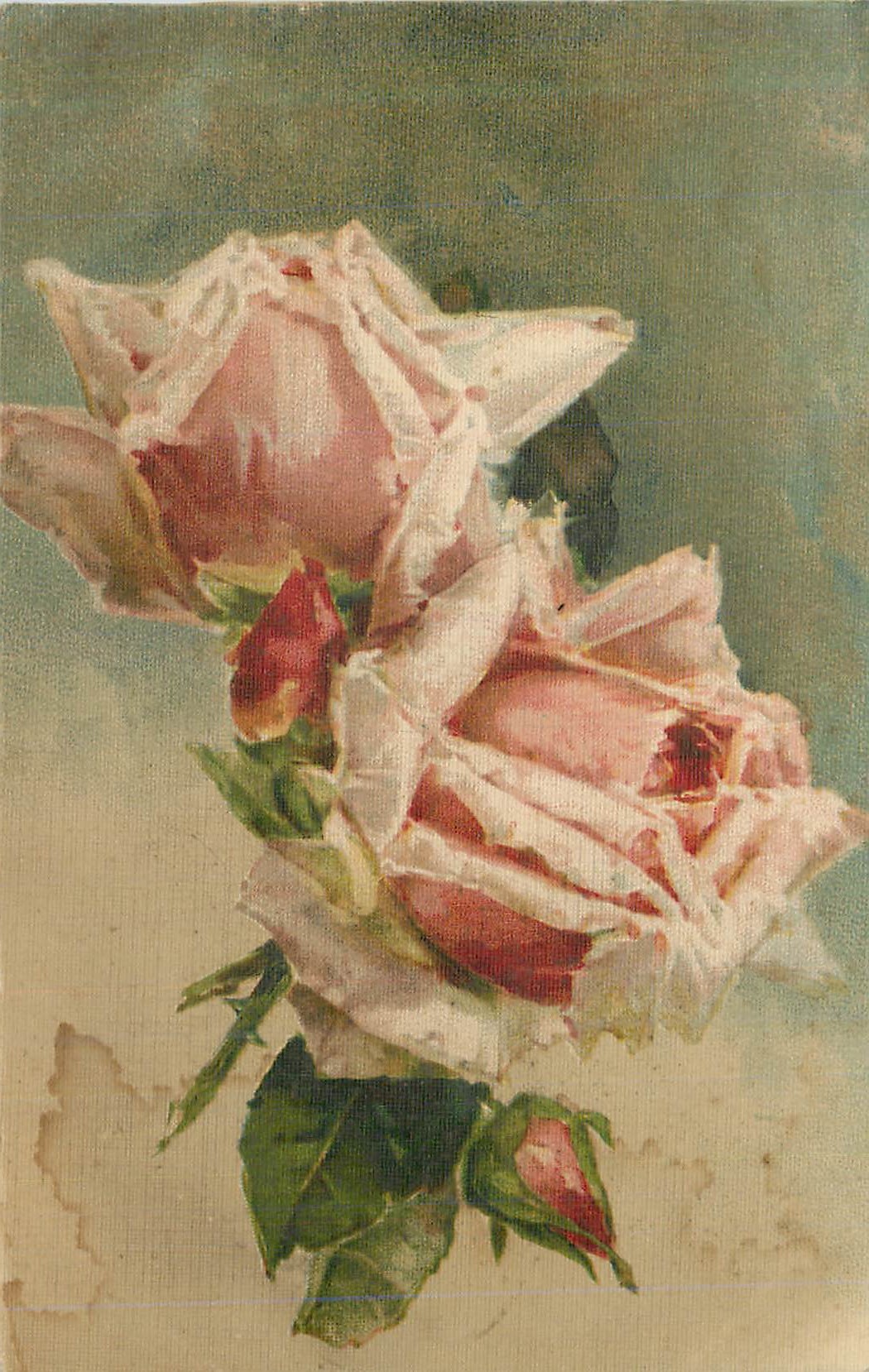 CPA Fleurs