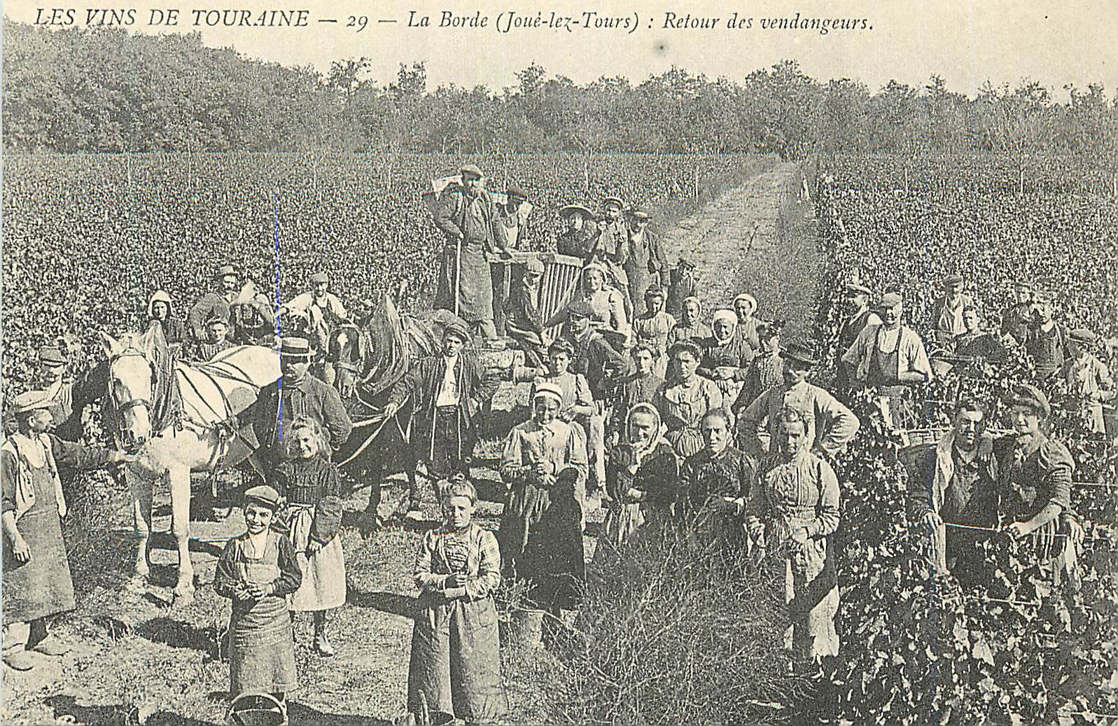 REPRO Les Vins de Touraine La Borde (Joue Lez Tours) Retour des Vendangeurs