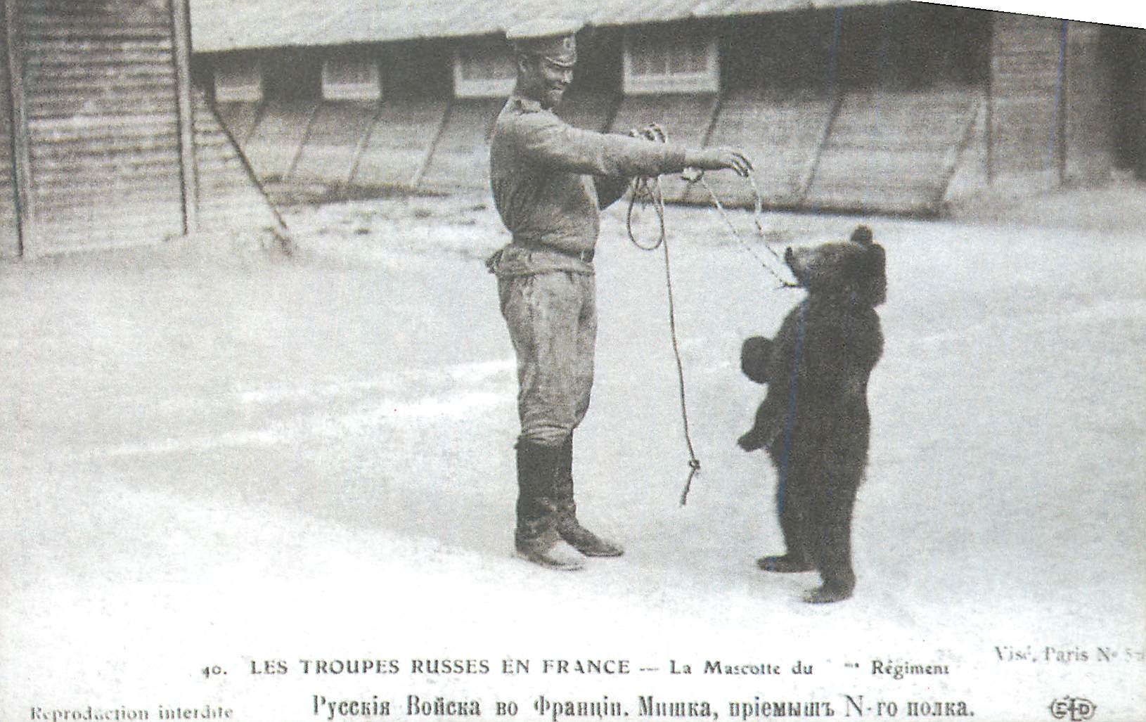 REPRO Les Troupes Russes en France La Mascotte du Regiment Ours Militaria