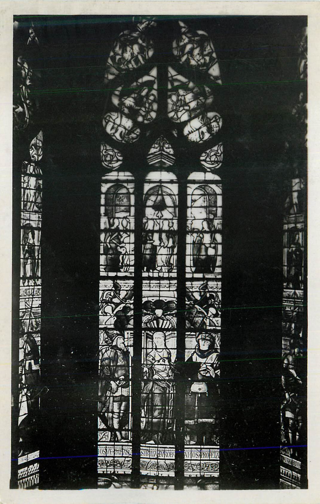 Vitrail de la cathédrale — détail de la rosace et des scènes bibliques — éditeur inconnu