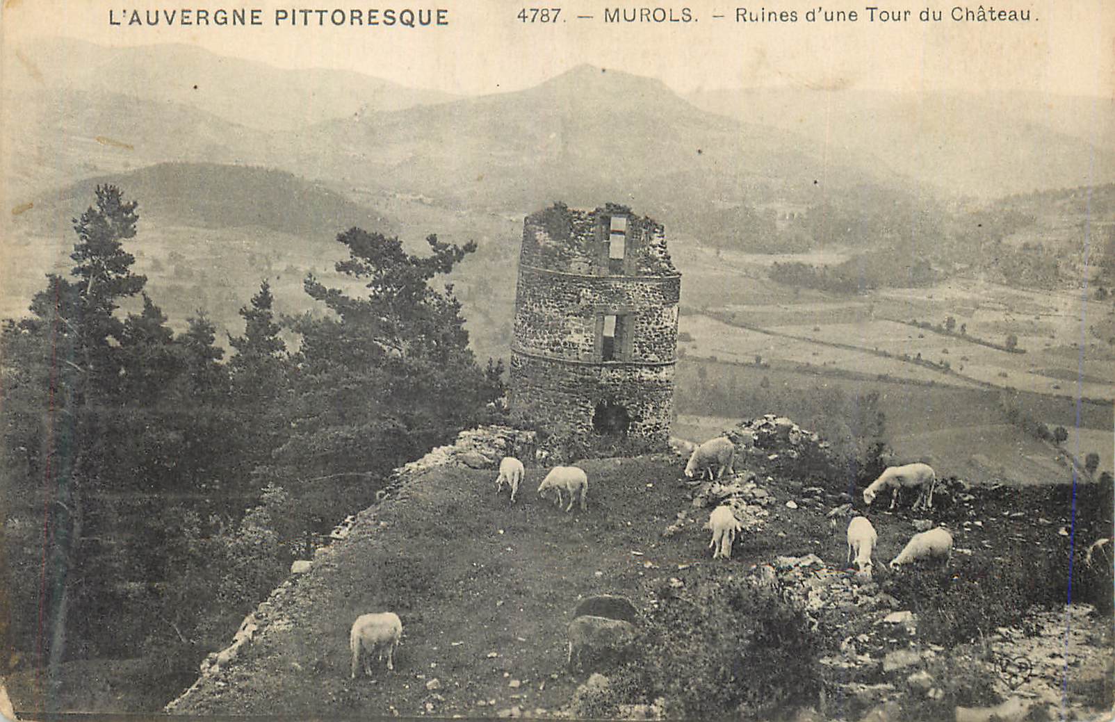CPA Murols L'Auvergne Pittoresque Ruines d'une Tour du Château Moutons