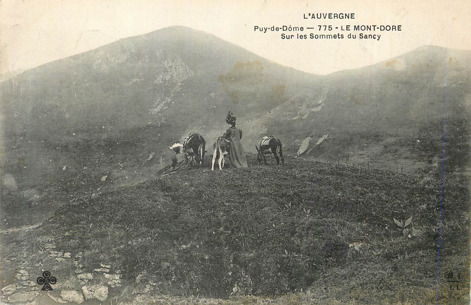 CPA Le Mont Dore Puy de Dome L'Auvergne Sur les Sommets du Sancy Ane Donkey