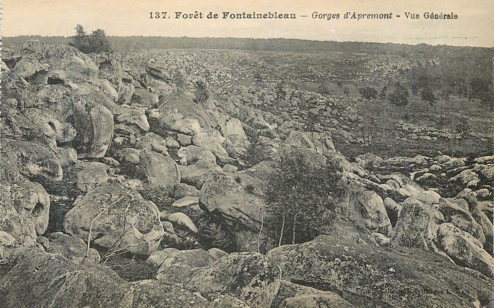 Bosque de Fontainebleau — Garganta de Apremont — Vista General