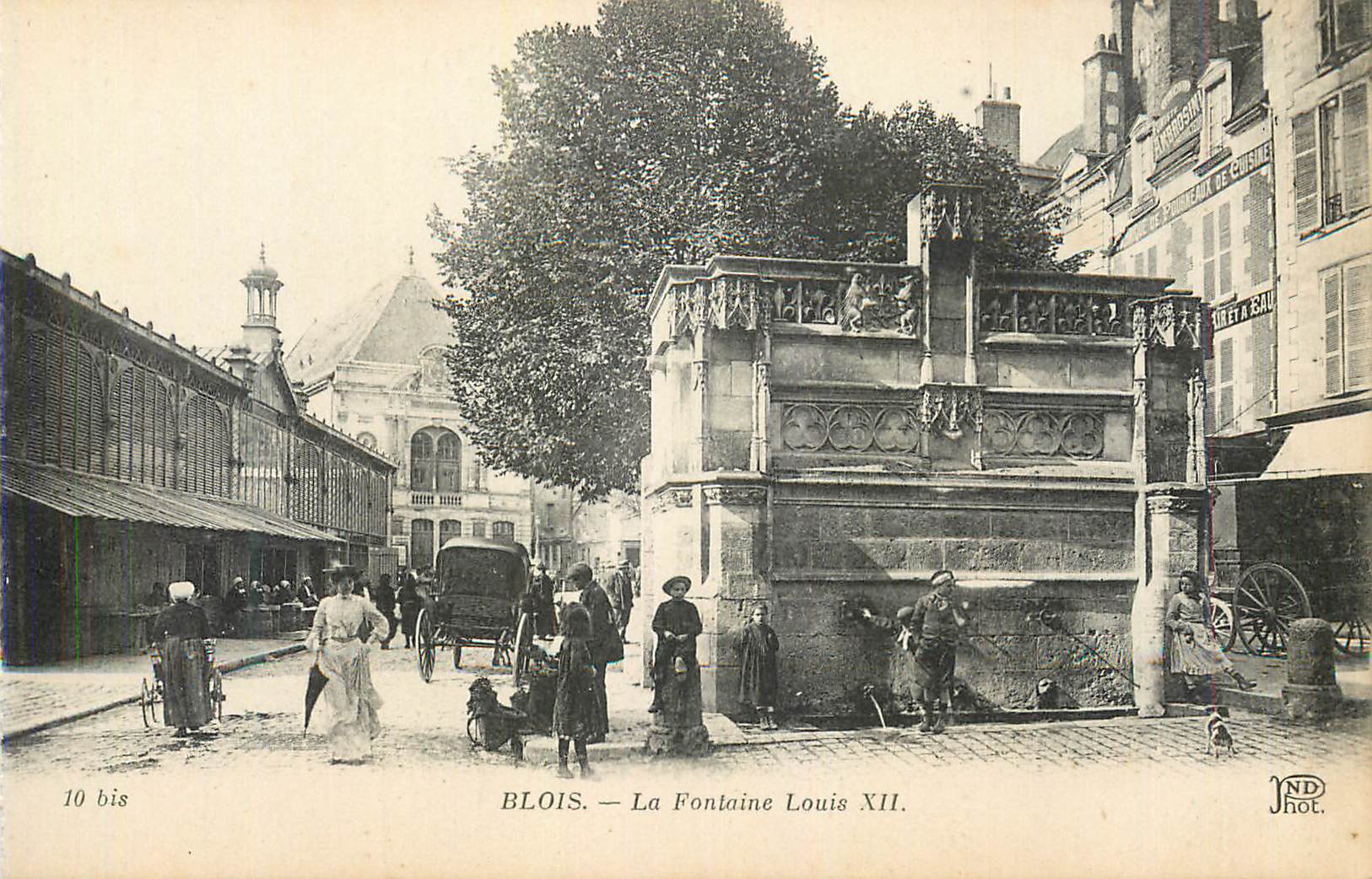 CPA Blois La Fontaine Louis XII