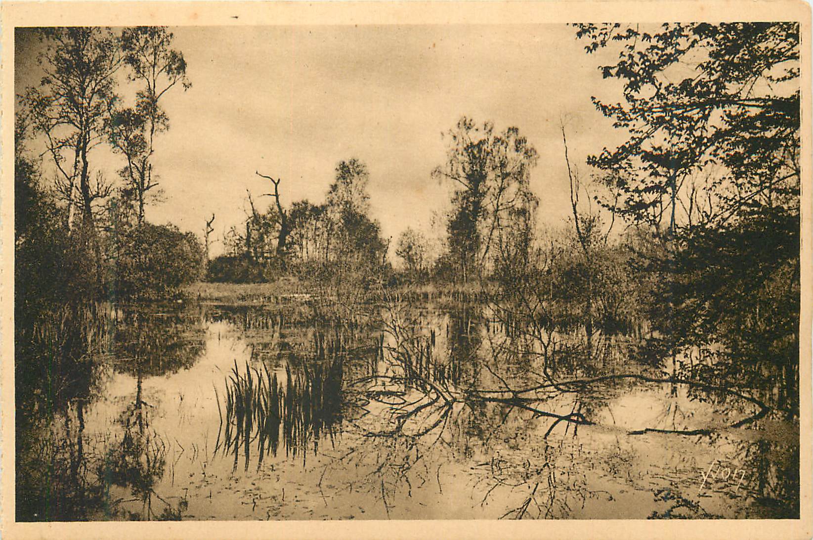 Paisaje de marisma — bosque húmedo — editor Fion, n° 109