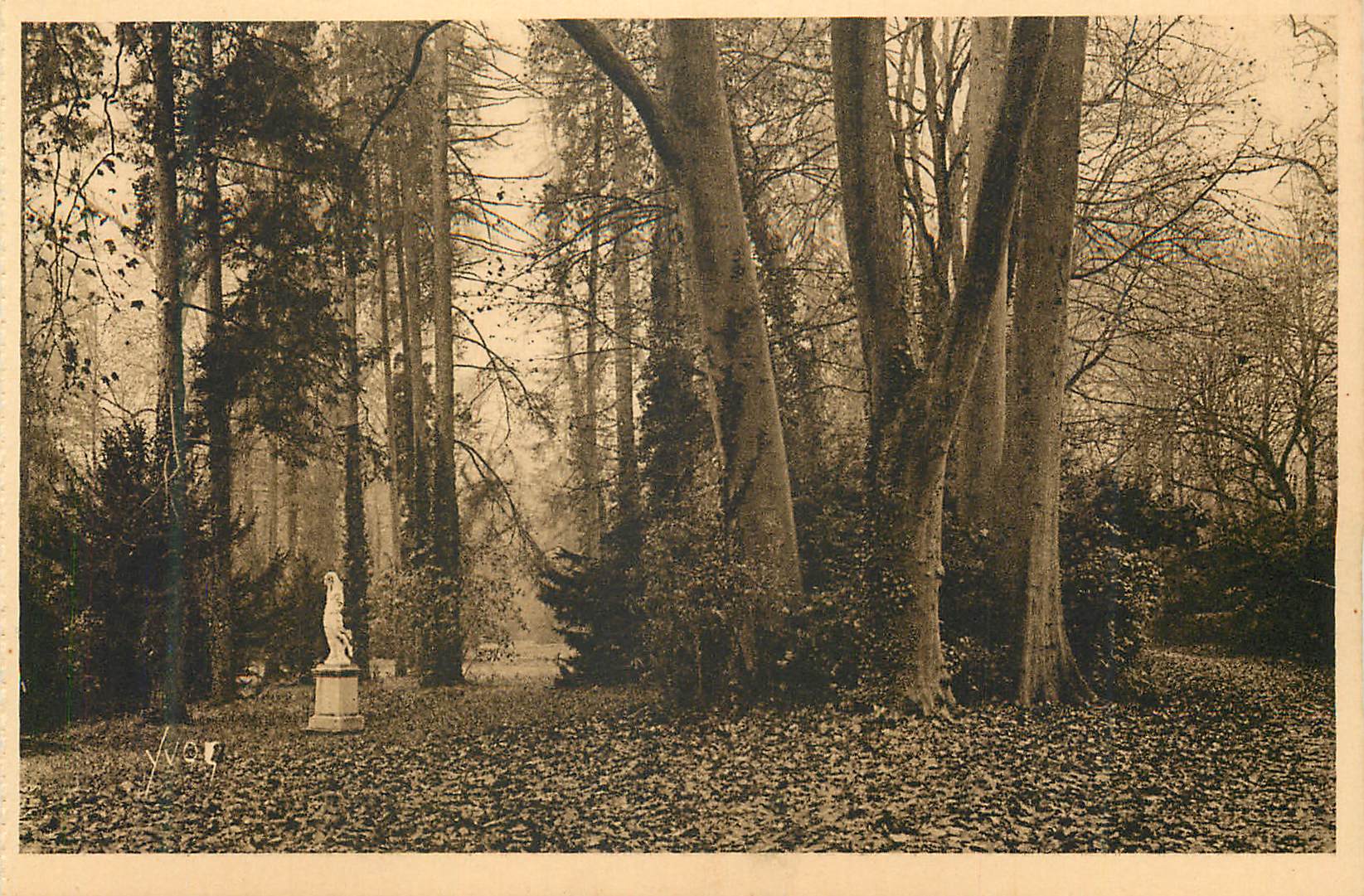 Statue dans un parc forestier — éditeur non identifié