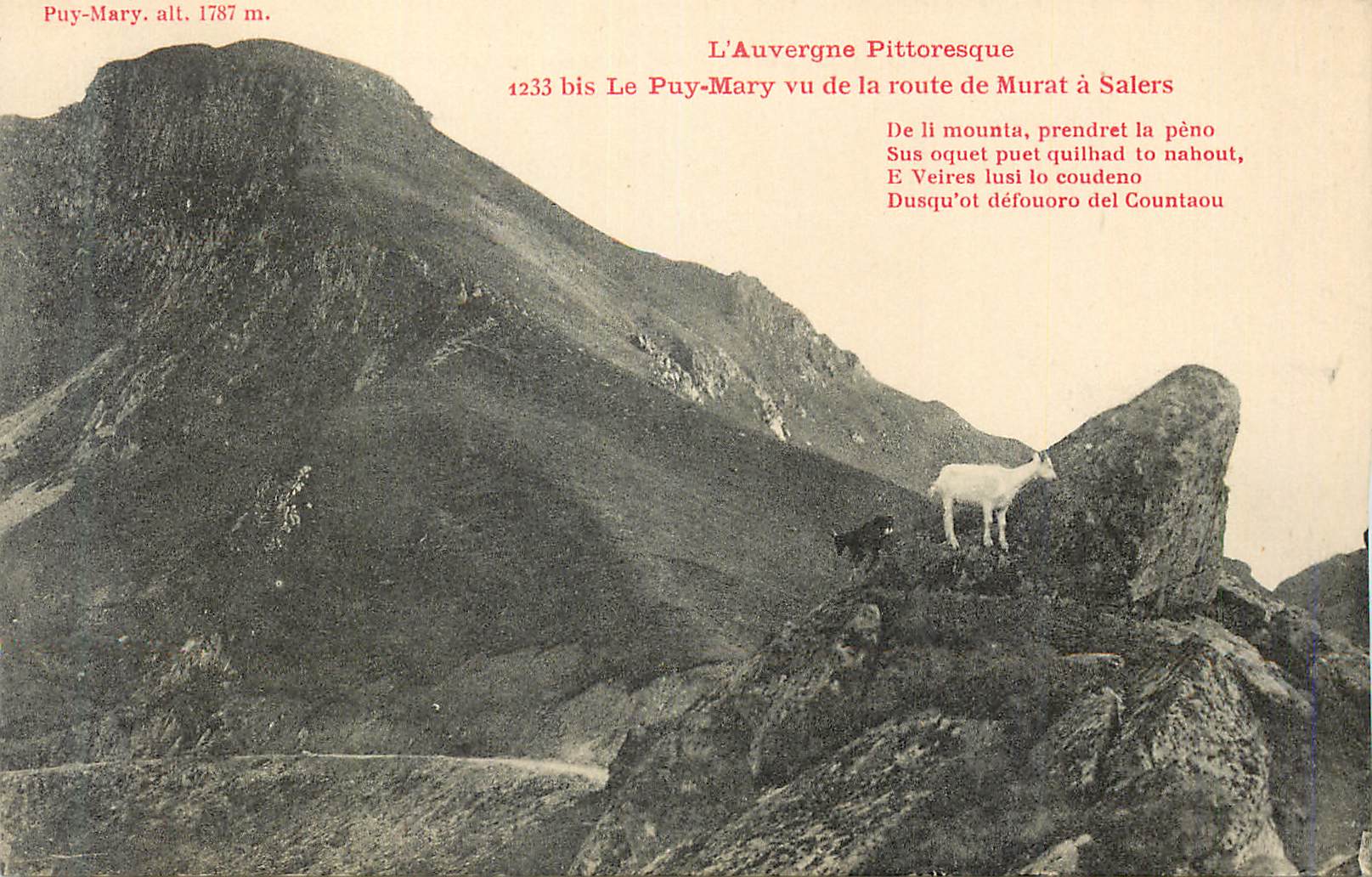 CPA L'Auvergne Pittoresque Le Puy Mary vu de la Route de Murat a Salers Chevre