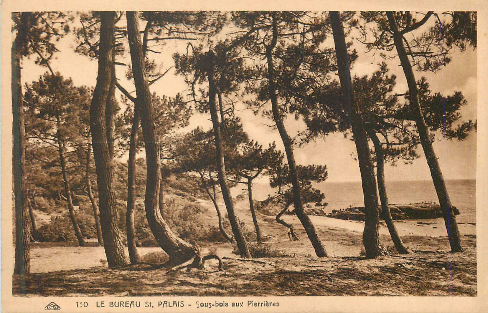 Le Bureau St. Palais — Sous-bois aux Pierrières — Éditeur CPA, n° 150