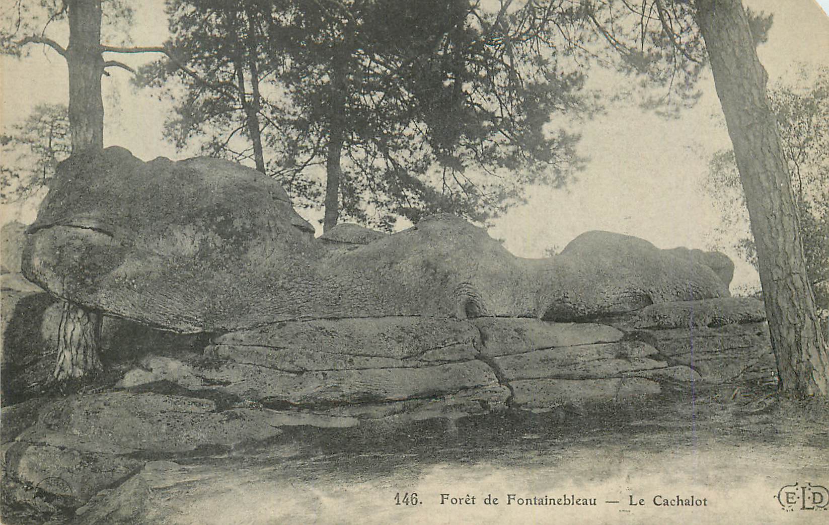 Forêt de Fontainebleau — Le Cachalot — Éditeur E.D. n°146