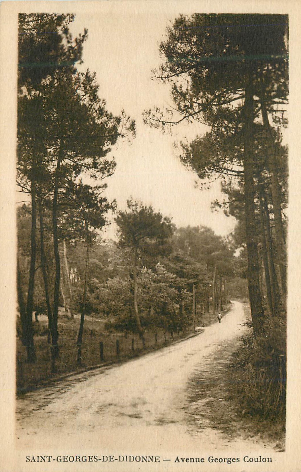Saint-Georges-de-Didonne — Avenue Georges Coulon