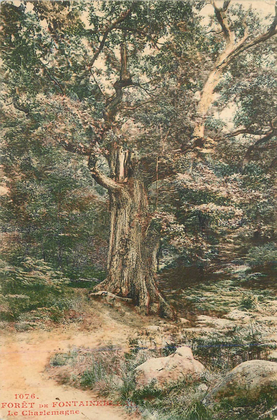 Forêt de Fontainebleau — Le Charlemagne — Éditeur : 1076
