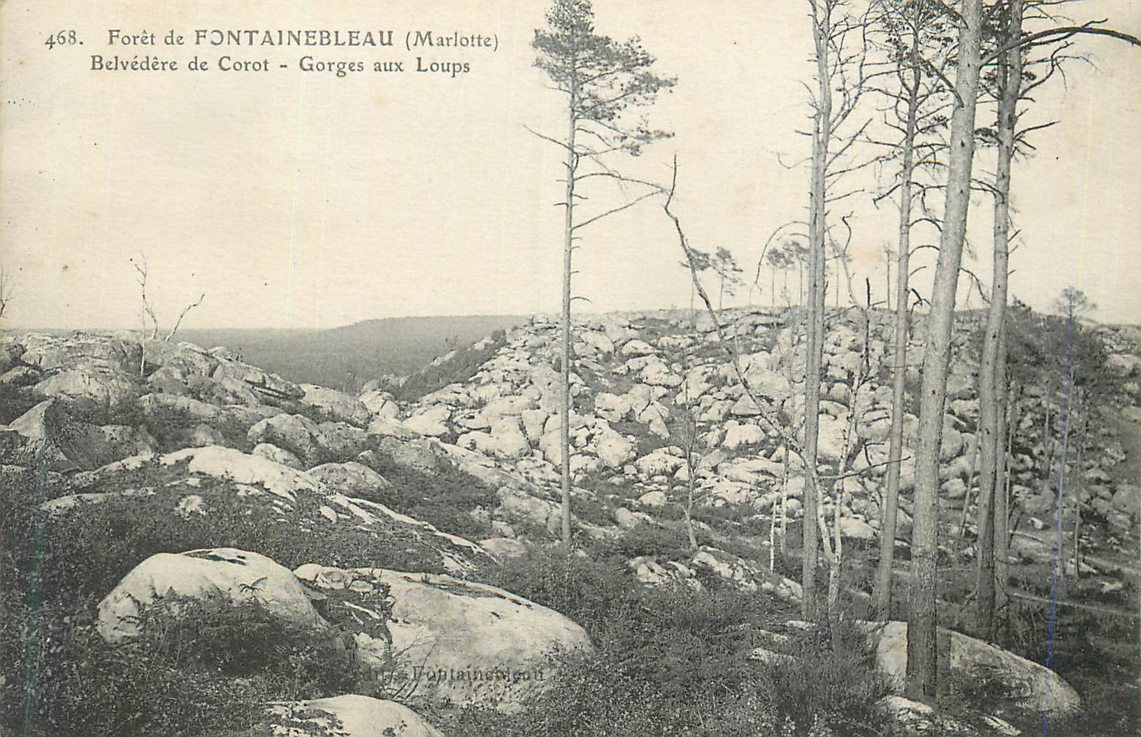 Forêt de FONTAINEBLEAU (Marlotte) — Belvédère de Corot - Gorges aux Loups — Éditeur : L'Ophtalmoscope