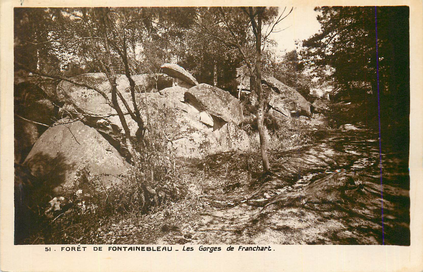 Forêt de Fontainebleau — Les Gorges de Franchart — unbekannter Verlag, Nr. 51
