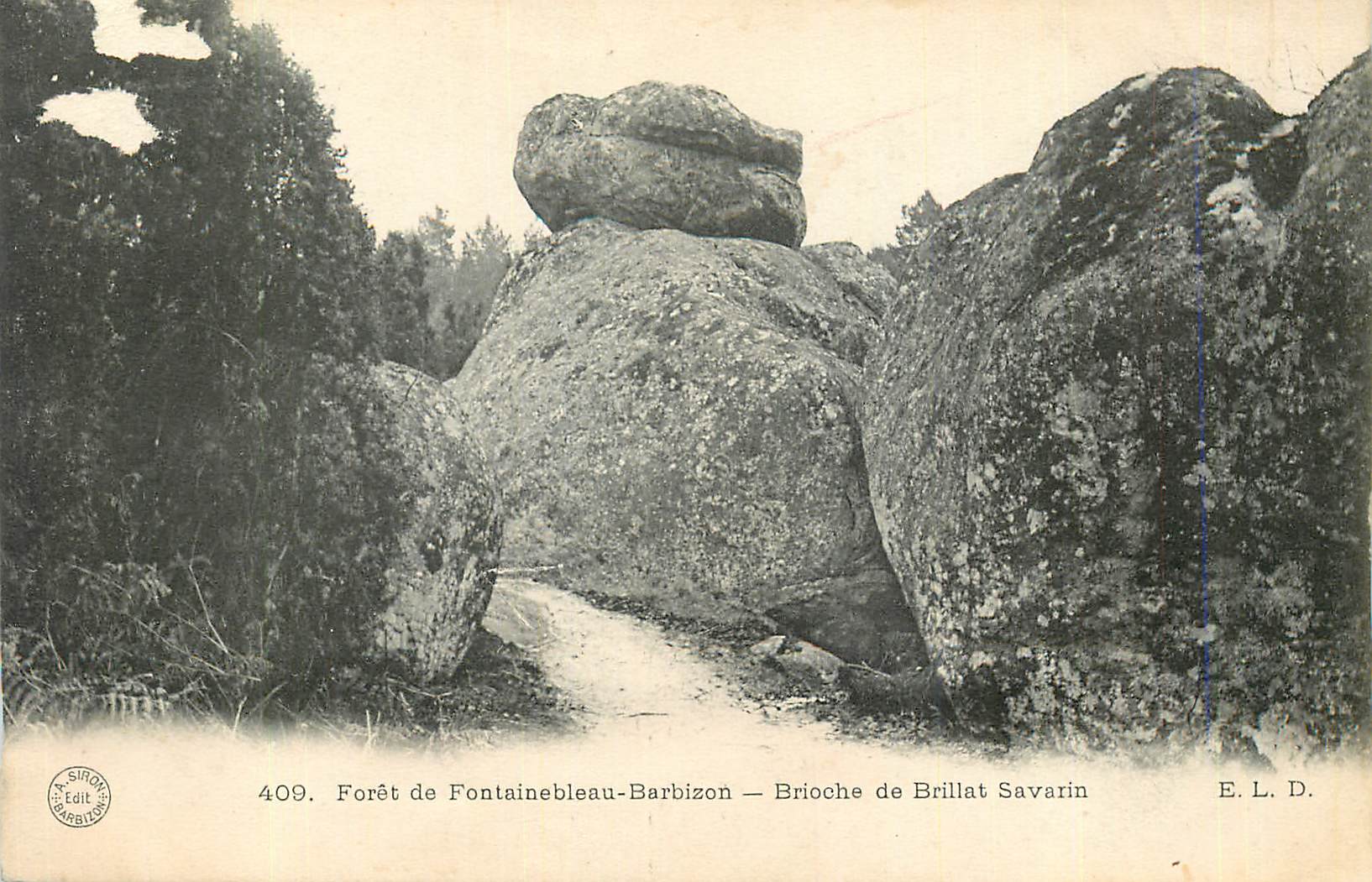 Bosque de Fontainebleau-Barbizon — Brioche de Brillat Savarin
