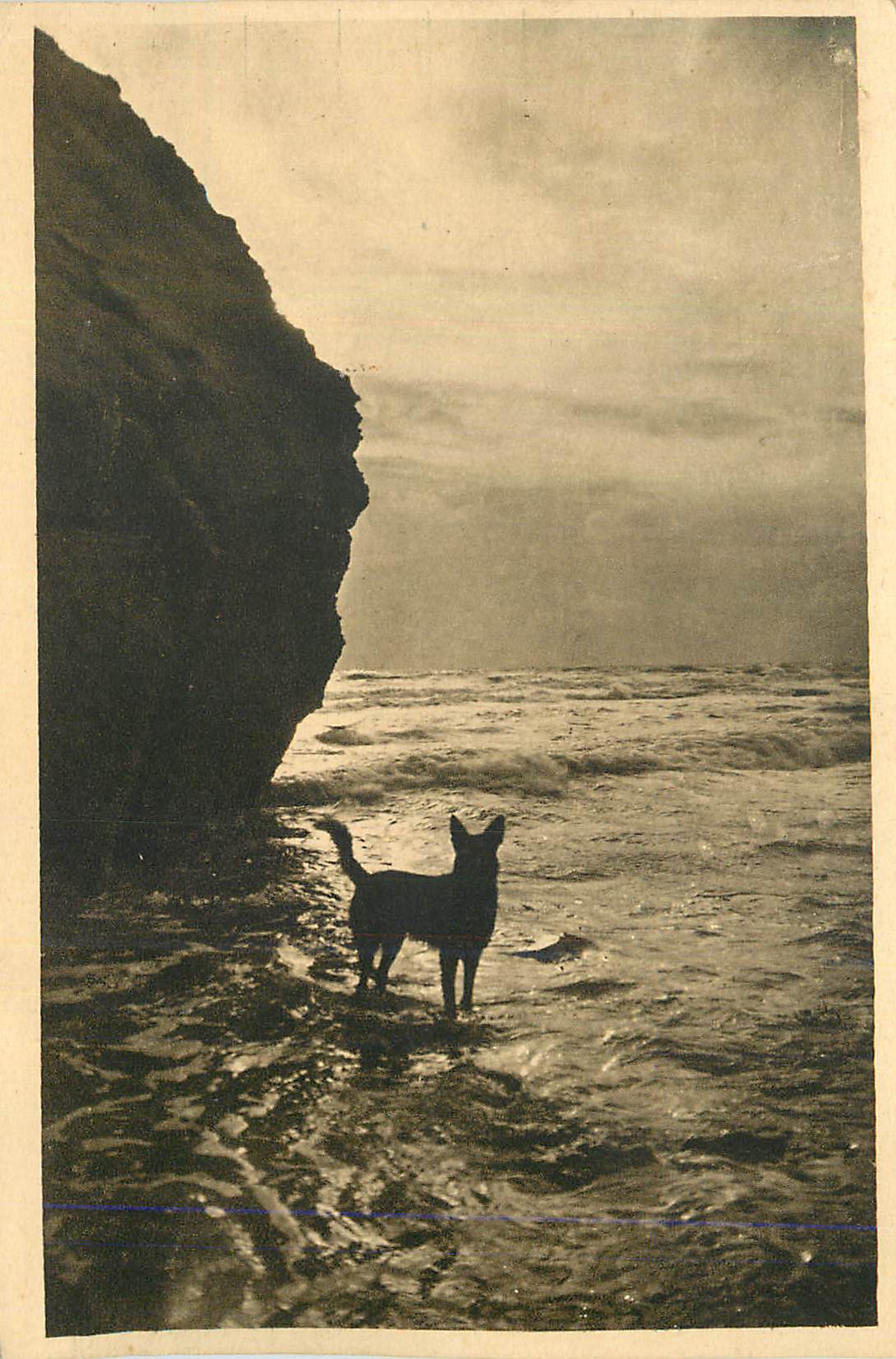 Chien sur la plage — Rocher à gauche — Éditeur non identifiable