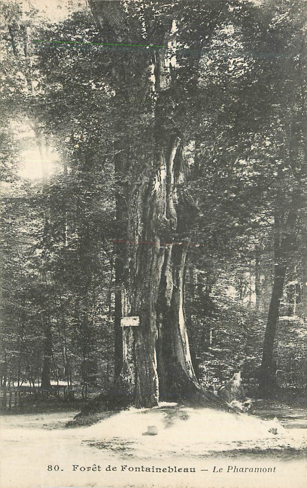 Forêt de Fontainebleau — Le Pharamont — Éditeur non identifié, n° 80