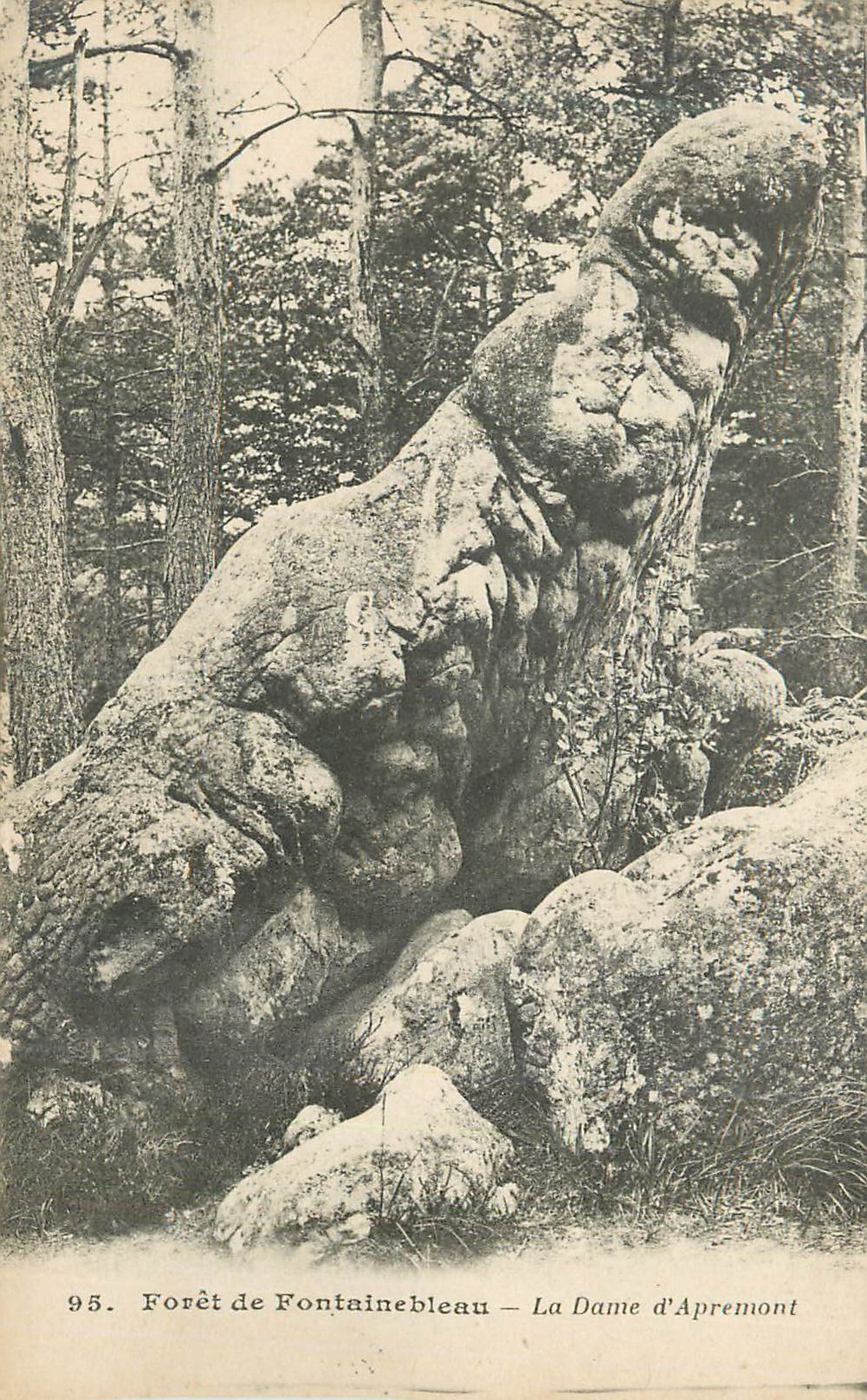 Bosque de Fontainebleau — La Dame d'Apremont — n°95