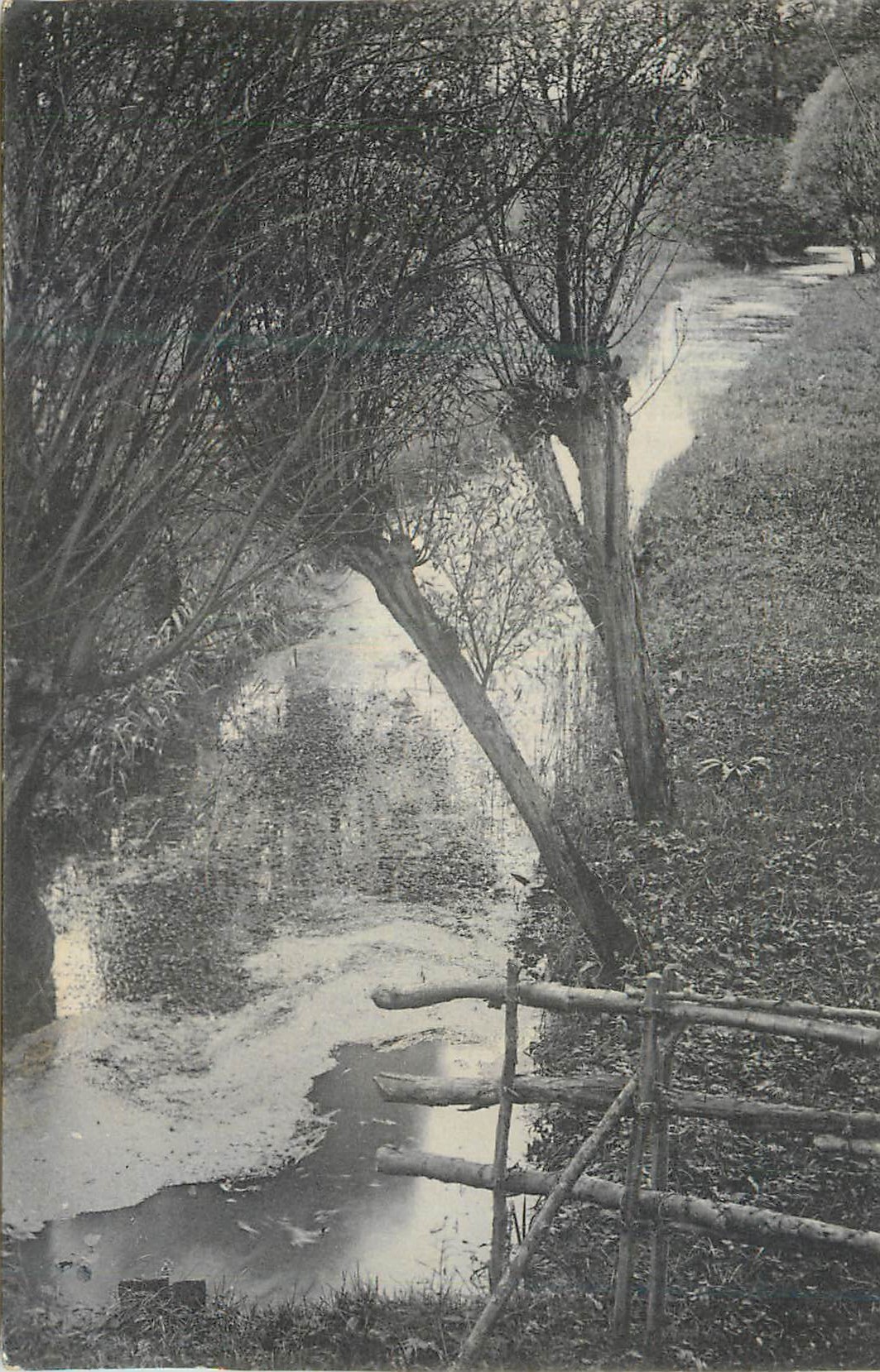 CPA Arbres Riviere