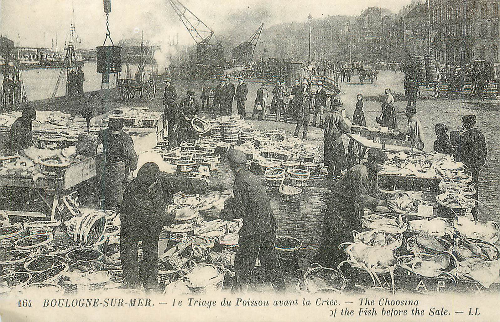 Boulogne-sur-Mer — Triage du Poisson avant la Criée — AP, n° 164