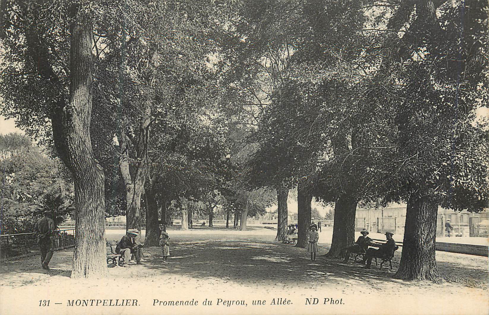 CPA Montpellier Promenade du Peyrou une Allee