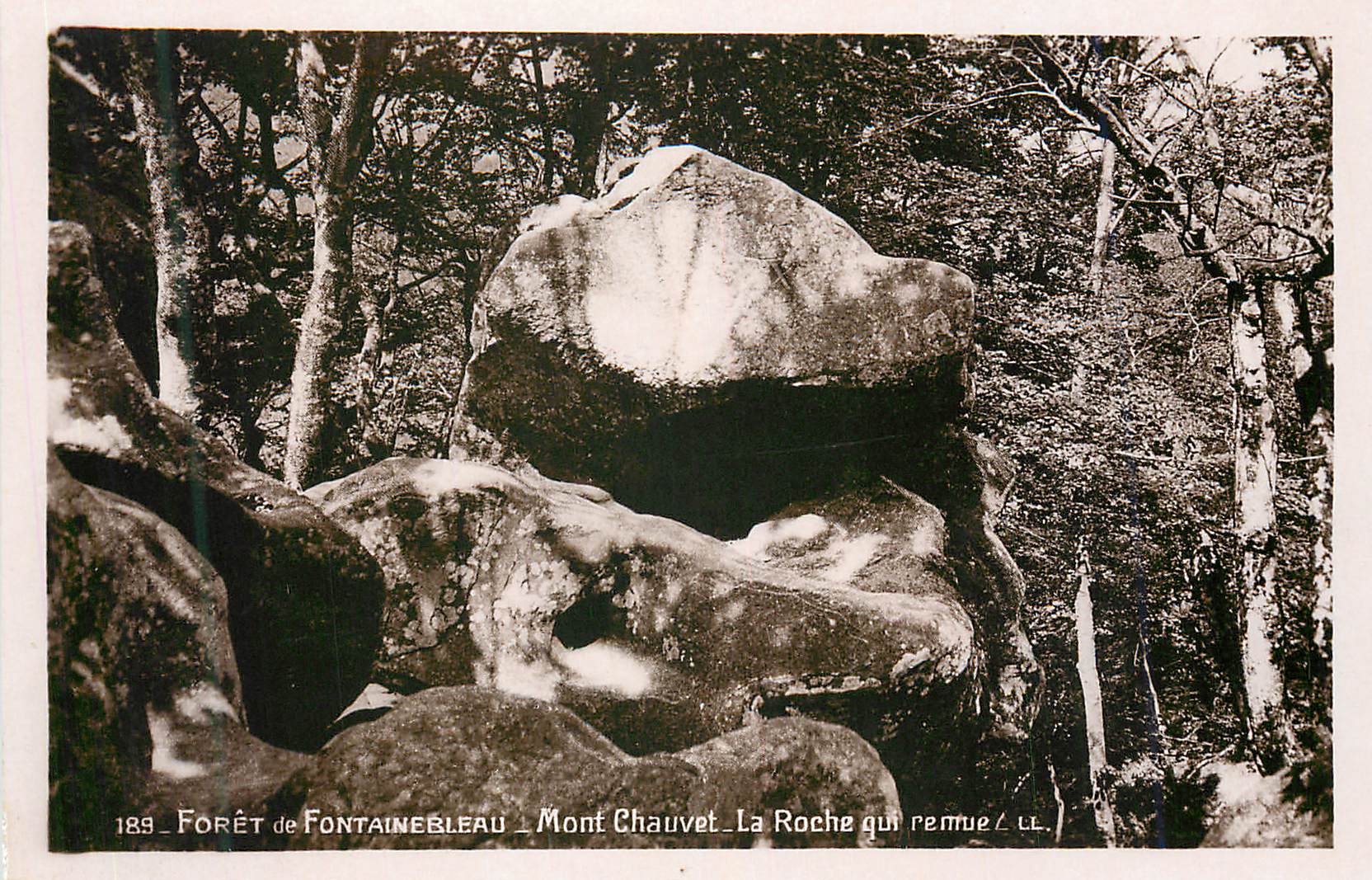 Foresta di Fontainebleau — Mont Chauvet — La Roche qui remue