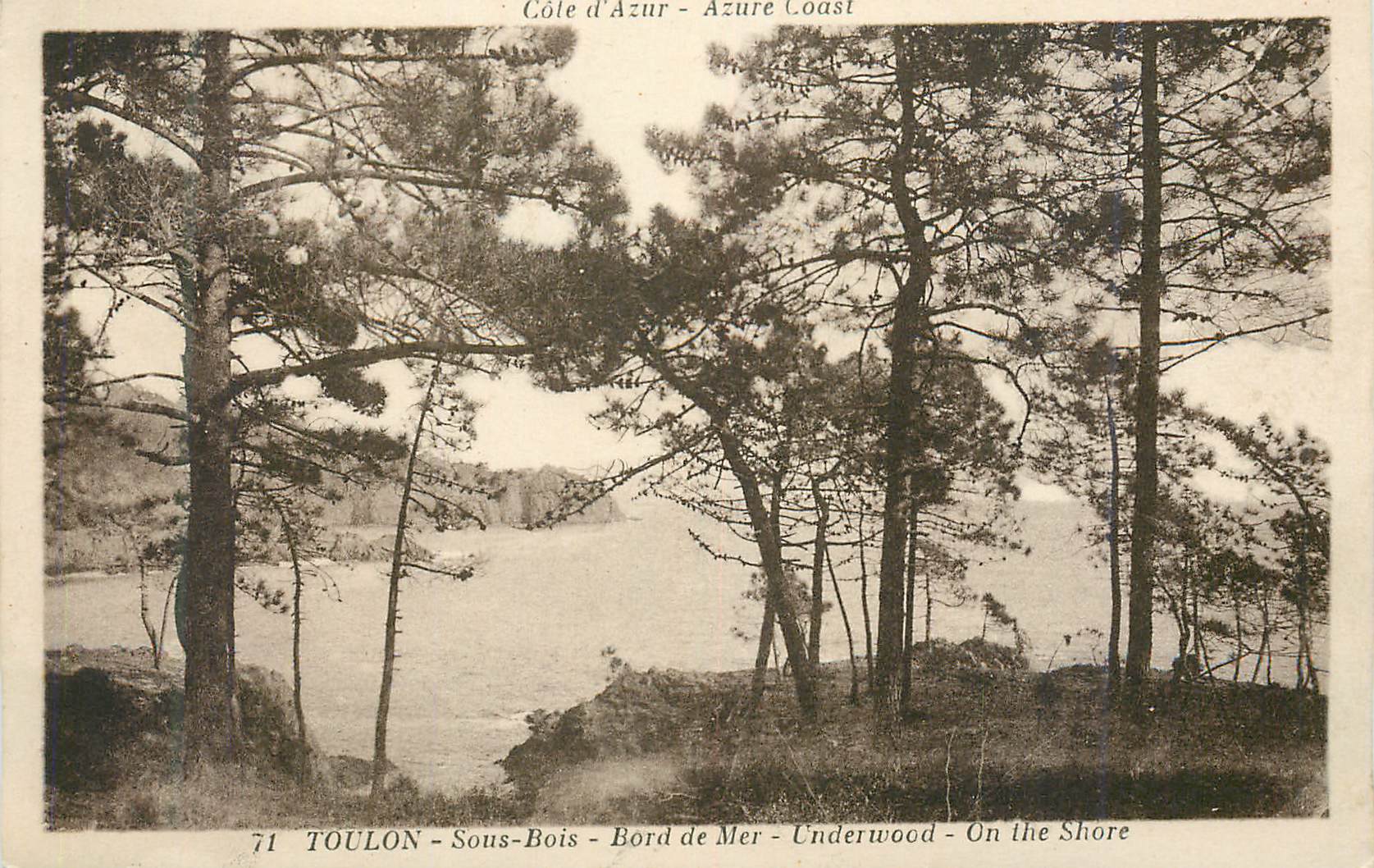 Toulon - Sous-Bois - Bord de Mer - Underwood - On the Shore